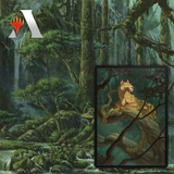 MTGA MTG Arena Cat vs Dog Bundle (All 6 Codes)